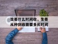生姜什么时间收，生姜从种到收需要多长时间