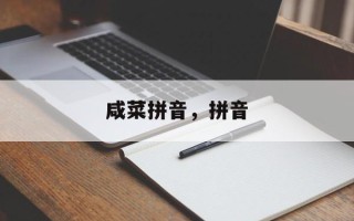 咸菜拼音，拼音