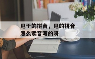 甩干的拼音，甩的拼音怎么读音写的呀