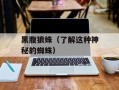 黑腹狼蛛（了解这种神秘的蜘蛛）