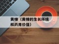 黄楝（黄楝的生长环境和药用价值）