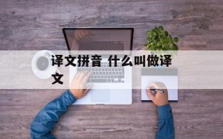 译文拼音 什么叫做译文