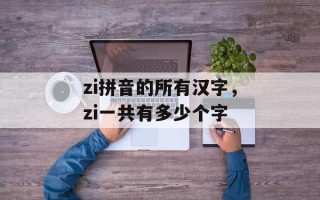 zi拼音的所有汉字，zi一共有多少个字