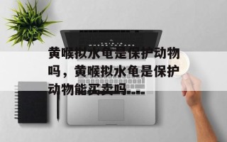 黄喉拟水龟是保护动物吗，黄喉拟水龟是保护动物能买卖吗