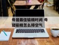 母猪最佳输精时间 母猪输精怎么排空气