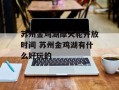 苏州金鸡湖摩天轮开放时间 苏州金鸡湖有什么好玩的