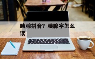 胰腺拼音？胰腺字怎么读