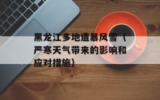 黑龙江多地遭暴风雪（严寒天气带来的影响和应对措施）
