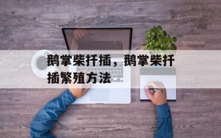 鹅掌柴扦插，鹅掌柴扦插繁殖方法