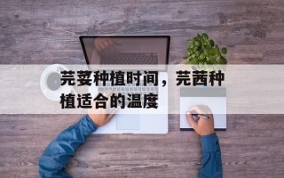 芫荽种植时间，芫茜种植适合的温度