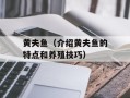 黄夫鱼（介绍黄夫鱼的特点和养殖技巧）