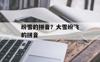 纷雪的拼音？大雪纷飞的拼音
