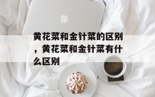 黄花菜和金针菜的区别，黄花菜和金针菜有什么区别