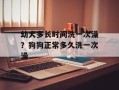 幼犬多长时间洗一次澡？狗狗正常多久洗一次澡