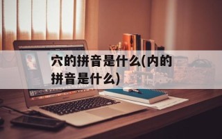 穴的拼音是什么(内的拼音是什么)