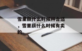 雪里蕻什么时候种合适，雪里蕻什么时候有卖的