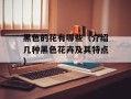 黑色的花有哪些（介绍几种黑色花卉及其特点）