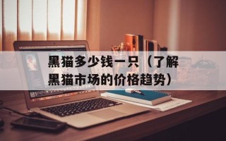 黑猫多少钱一只（了解黑猫市场的价格趋势）