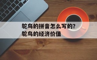鸵鸟的拼音怎么写的？鸵鸟的经济价值