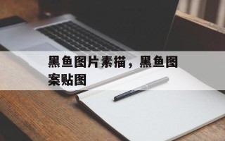 黑鱼图片素描，黑鱼图案贴图