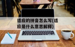 适应的拼音怎么写(适应是什么意思解释)