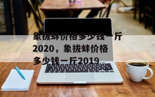 象拔蚌价格多少钱一斤2020，象拔蚌价格多少钱一斤2019