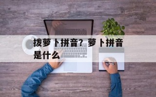 拨萝卜拼音？萝卜拼音是什么