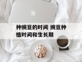 种豌豆的时间 豌豆种植时间和生长期