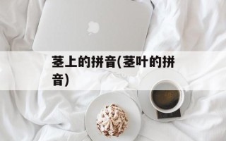 茎上的拼音(茎叶的拼音)