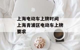上海电动车上牌时间 上海青浦区电动车上牌要求