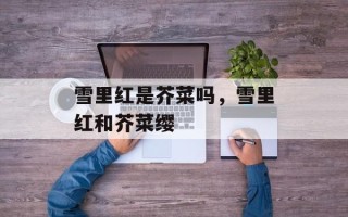 雪里红是芥菜吗，雪里红和芥菜缨