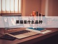 黑猫是什么品种