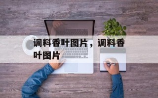 调料香叶图片，调料香叶图片