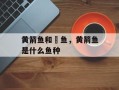 黄箭鱼和鳡鱼，黄箭鱼是什么鱼种