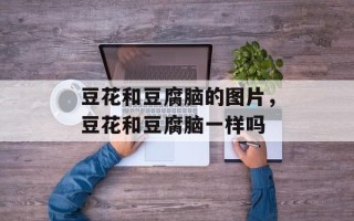 豆花和豆腐脑的图片，豆花和豆腐脑一样吗