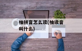 柚拼音怎么读(柚读音叫什么)
