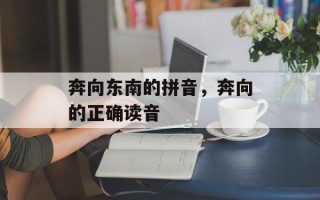 奔向东南的拼音，奔向的正确读音