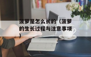 菠萝是怎么长的（菠萝的生长过程与注意事项）