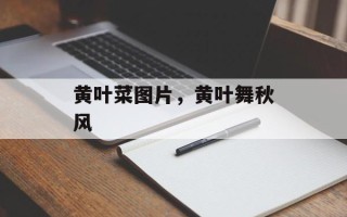 黄叶菜图片，黄叶舞秋风