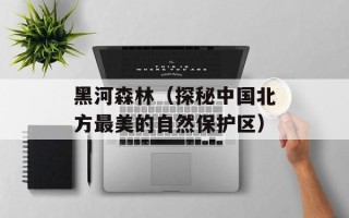黑河森林（探秘中国北方最美的自然保护区）