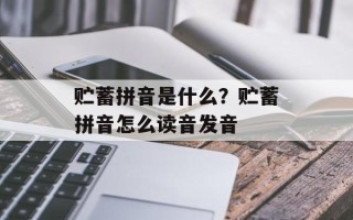 贮蓄拼音是什么？贮蓄拼音怎么读音发音
