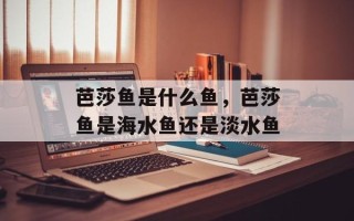 芭莎鱼是什么鱼，芭莎鱼是海水鱼还是淡水鱼