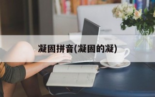 凝固拼音(凝固的凝)