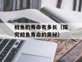 鲸鱼的寿命有多长（探究鲸鱼寿命的奥秘）