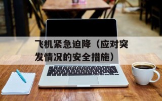 飞机紧急迫降（应对突发情况的安全措施）