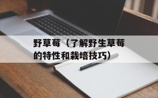 野草莓（了解野生草莓的特性和栽培技巧）