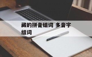 藏的拼音组词 多音字组词