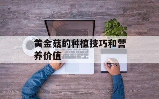 黄金菇的种植技巧和营养价值