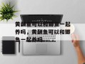 黄颡鱼可以和鲫鱼一起养吗，黄颡鱼可以和鲫鱼一起养吗