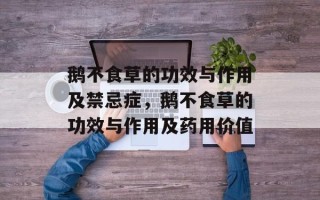 鹅不食草的功效与作用及禁忌症，鹅不食草的功效与作用及药用价值